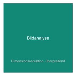 Fallstudie '5' - Bildanalyse