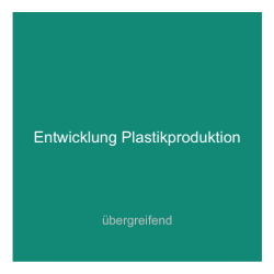 Fallstudie '7' - Entwicklung Plastikproduktion