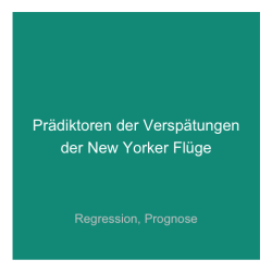 Fallstudie '11' - Verspätungen der New Yorker Flüge